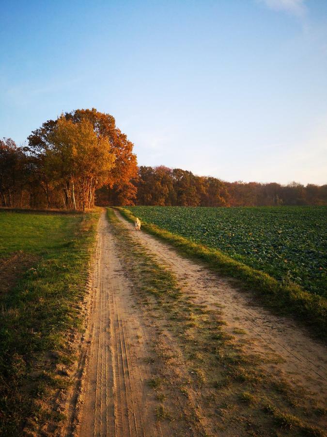 Gaestehaeuschen „Kleine Auszeit“ Greifswald Ngoại thất bức ảnh